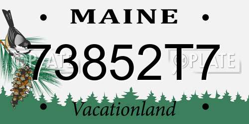 73852T7 Maine License Plate