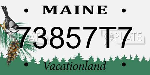 73857T7 Maine License Plate
