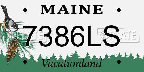 7386LS Maine License Plate