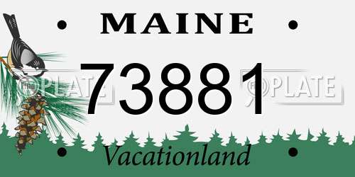 73881 Maine License Plate