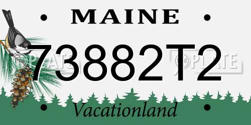 73882T2 Maine License Plate