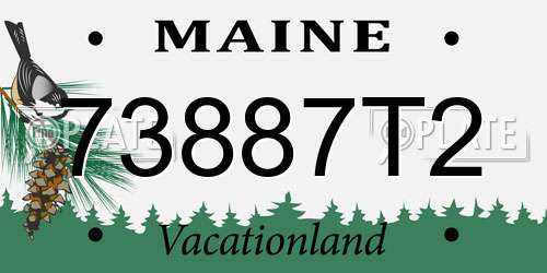 73887T2 Maine License Plate