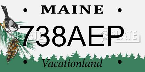738AEP Maine License Plate