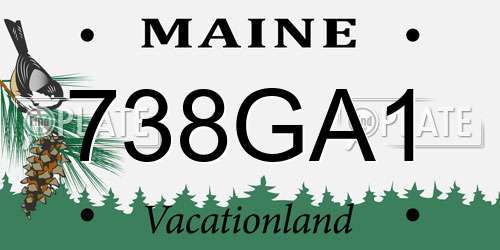 738GA1 Maine License Plate