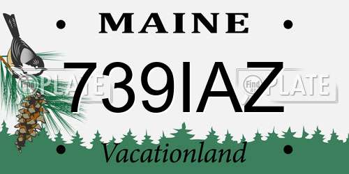 739IAZ Maine License Plate