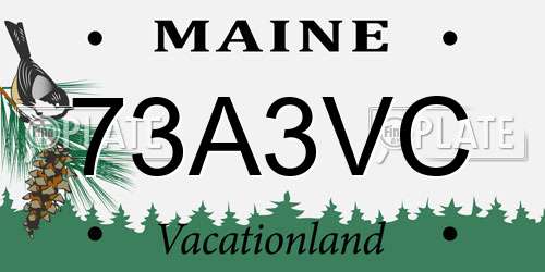 73A3VC Maine License Plate