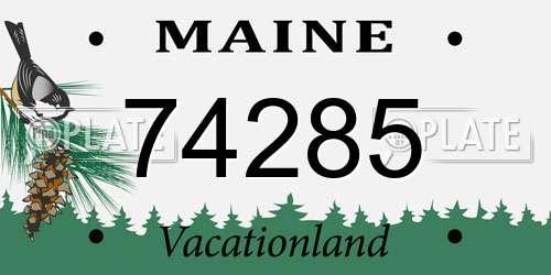74285 Maine License Plate