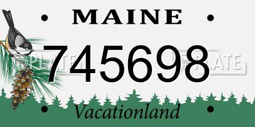 745698 Maine License Plate