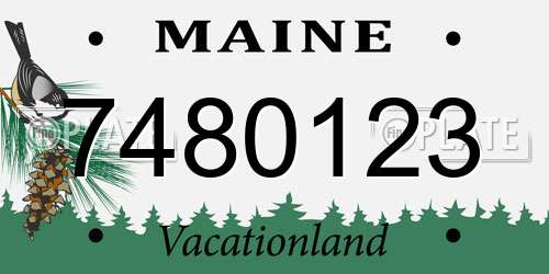 7480123 Maine License Plate