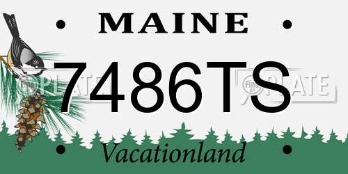 7486TS Maine License Plate