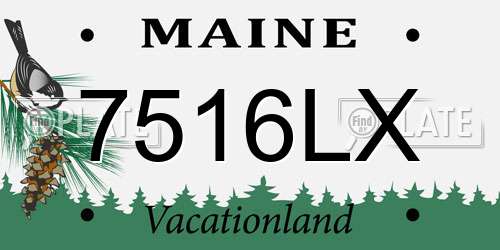 7516LX Maine License Plate