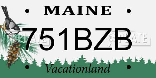 751BZB Maine License Plate