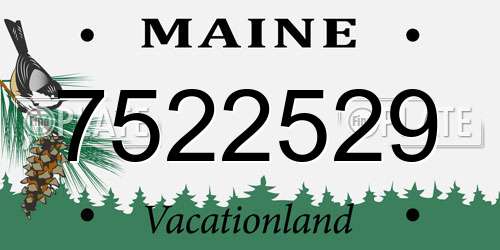7522529 Maine License Plate