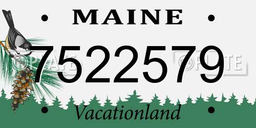 7522579 Maine License Plate