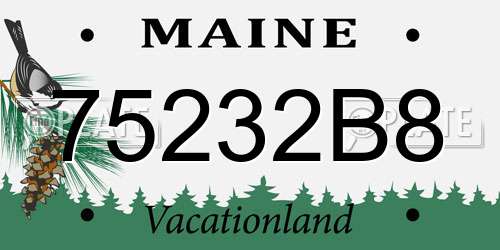 75232B8 Maine License Plate