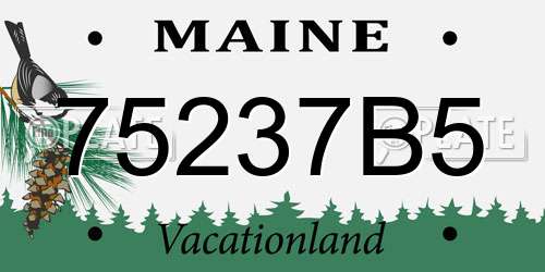 75237B5 Maine License Plate