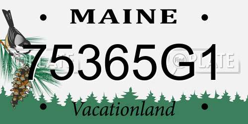 75365G1 Maine License Plate