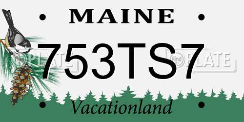 753TS7 Maine License Plate