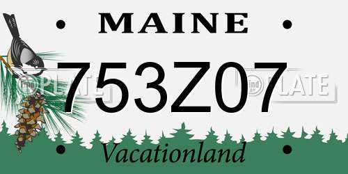 753Z07 Maine License Plate