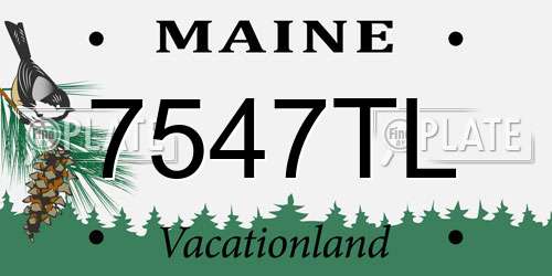 7547TL Maine License Plate