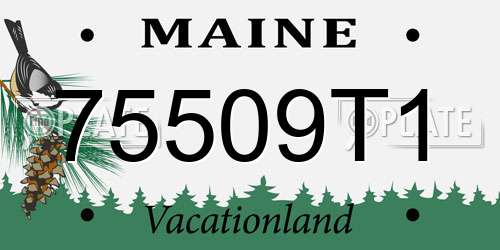 75509T1 Maine License Plate