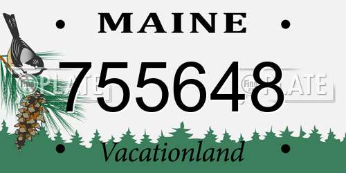 755648 Maine License Plate
