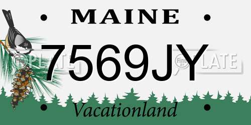 7569JY Maine License Plate