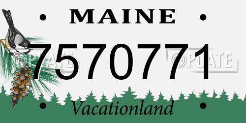 7570771 Maine License Plate