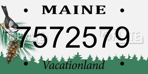 7572579 Maine License Plate