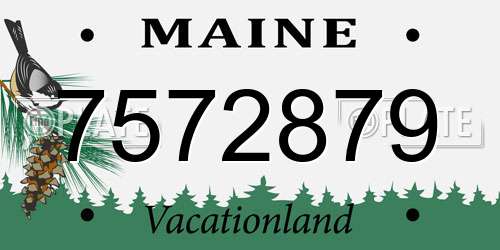 7572879 Maine License Plate