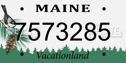 7573285 Maine License Plate