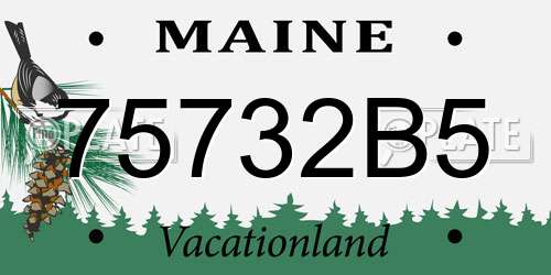 75732B5 Maine License Plate