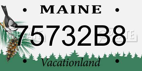 75732B8 Maine License Plate