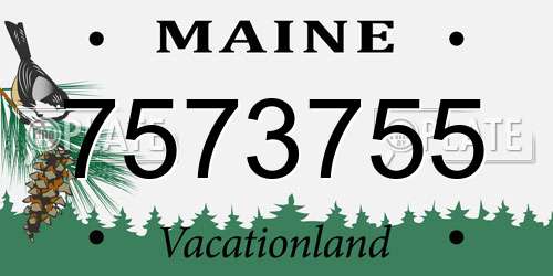 7573755 Maine License Plate