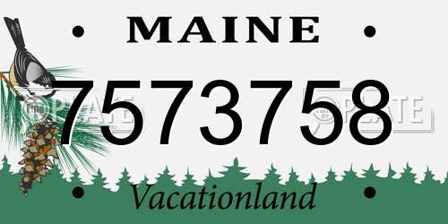 7573758 Maine License Plate