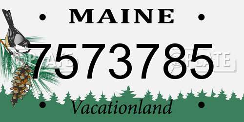 7573785 Maine License Plate