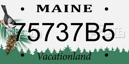75737B5 Maine License Plate