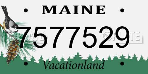 7577529 Maine License Plate
