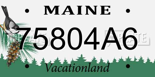 75804A6 Maine License Plate