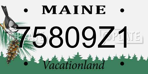 75809Z1 Maine License Plate