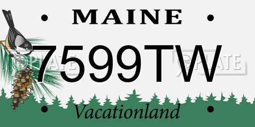 7599TW Maine License Plate