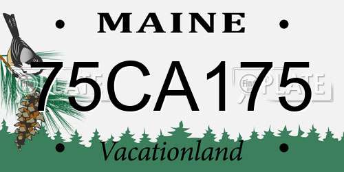 75CA175 Maine License Plate