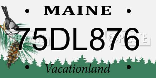 75DL876 Maine License Plate