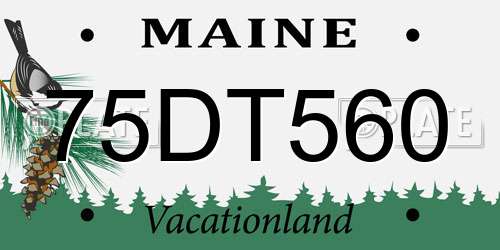 75DT560 Maine License Plate