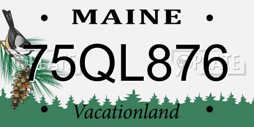 75QL876 Maine License Plate