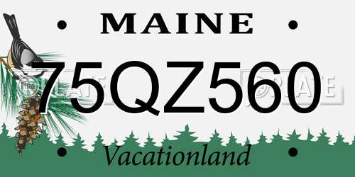 75QZ560 Maine License Plate