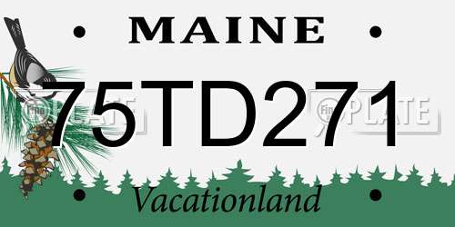 75TD271 Maine License Plate