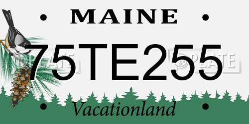 75TE255 Maine License Plate