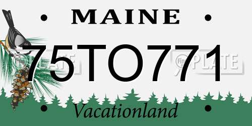 75TO771 Maine License Plate