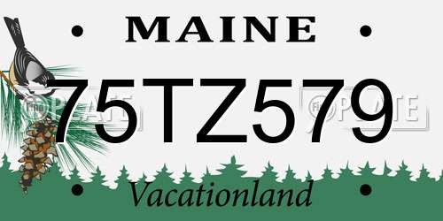 75TZ579 Maine License Plate